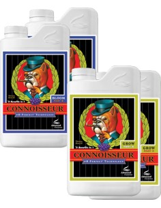 Connoisseur Bloom (A & B)...