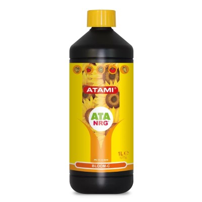 ATA NRG BLOOM C ATAMI