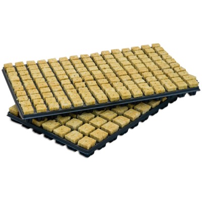 B'cuzz 35x35x40 tray (9...
