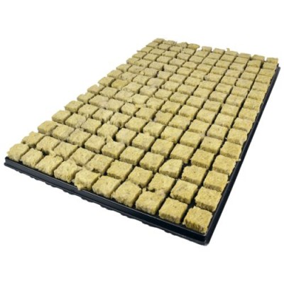 B'cuzz Tray 25x25x40 (9...