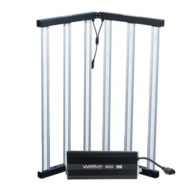 KIT LED MAGIC 720W +...