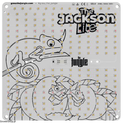 THE JACKSON LITE 100W LED...