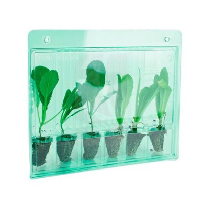 Transport Case 6 Cuttings 1...