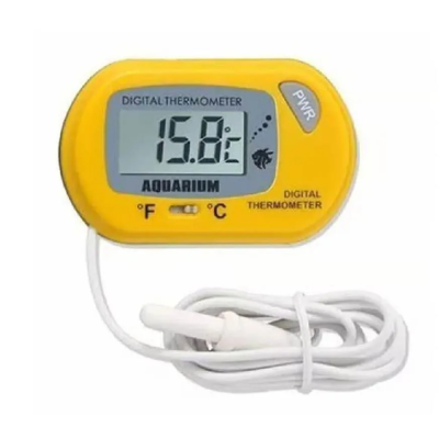 Digital thermometer