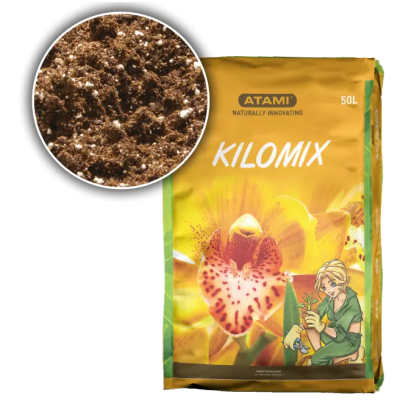 B CUZZ KILOMIX ATAMI
