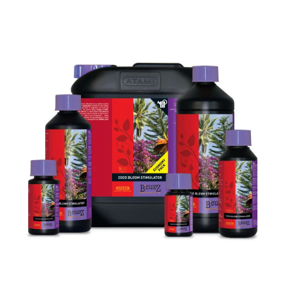 B CUZZ COCO BLOOM...