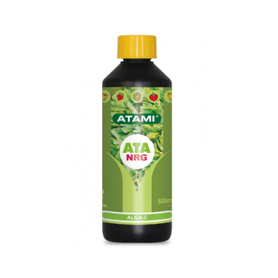 ATA NRG ALGA C ATAMI