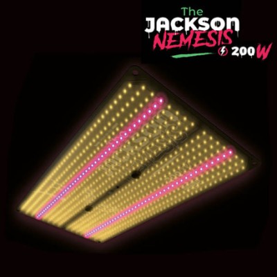 JACKSON NEMESIS 200W LA JUNGLA